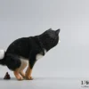 1/6 Scale Shiba Inu half squat