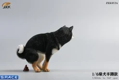 1/6 Scale Shiba Inu half squat