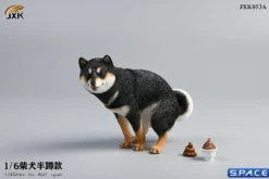 1/6 Scale Shiba Inu half squat