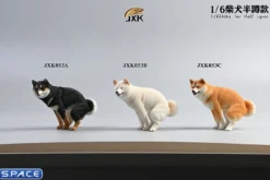 1/6 Scale Shiba Inu half squat