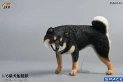 1/6 Scale Shiba Inu leg lift