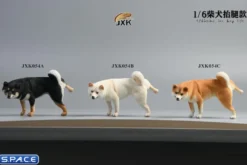 1/6 Scale Shiba Inu leg lift