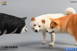 1/6 Scale Shiba Inu leg lift