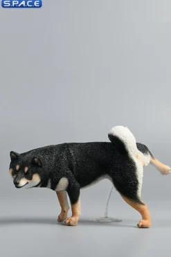 1/6 Scale Shiba Inu leg lift