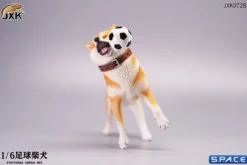 1/6 Scale Shiba Inu with football