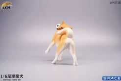 1/6 Scale Shiba Inu with football