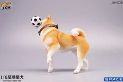 1/6 Scale Shiba Inu with football