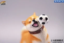 1/6 Scale Shiba Inu with football