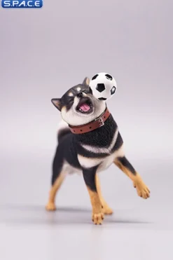 1/6 Scale Shiba Inu with football