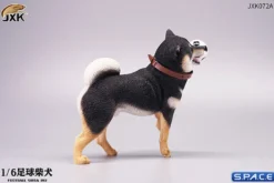 1/6 Scale Shiba Inu with football