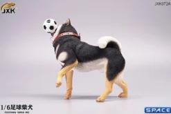 1/6 Scale Shiba Inu with football