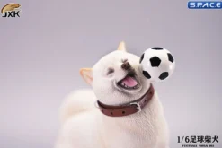 1/6 Scale Shiba Inu with football
