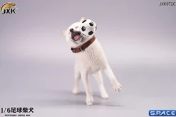1/6 Scale Shiba Inu with football