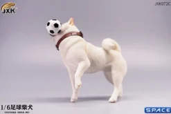 1/6 Scale Shiba Inu with football