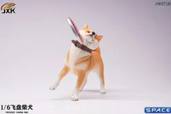 1/6 Scale Shiba Inu with frisbee