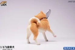 1/6 Scale Shiba Inu with frisbee