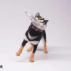 1/6 Scale Shiba Inu with frisbee