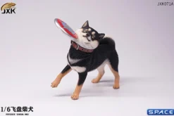 1/6 Scale Shiba Inu with frisbee