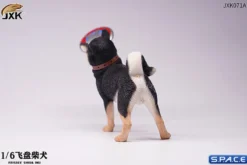 1/6 Scale Shiba Inu with frisbee