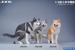 1/6 Scale Siberian Husky Half Squat
