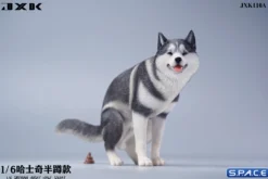 1/6 Scale Siberian Husky Half Squat
