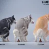 1/6 Scale Siberian Husky Half Squat