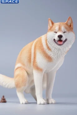 1/6 Scale Siberian Husky Half Squat