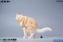 1/6 Scale Siberian Husky Half Squat