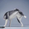 1/6 Scale Siberian Husky Leg Lift