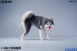 1/6 Scale Siberian Husky Leg Lift