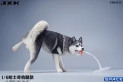 1/6 Scale Siberian Husky Leg Lift