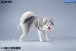 1/6 Scale Siberian Husky Leg Lift