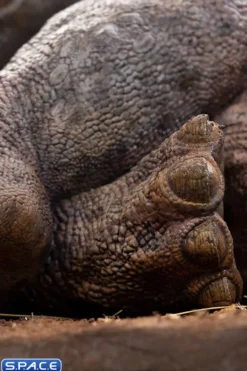 1/8 Scale Sick Triceratops Maquette