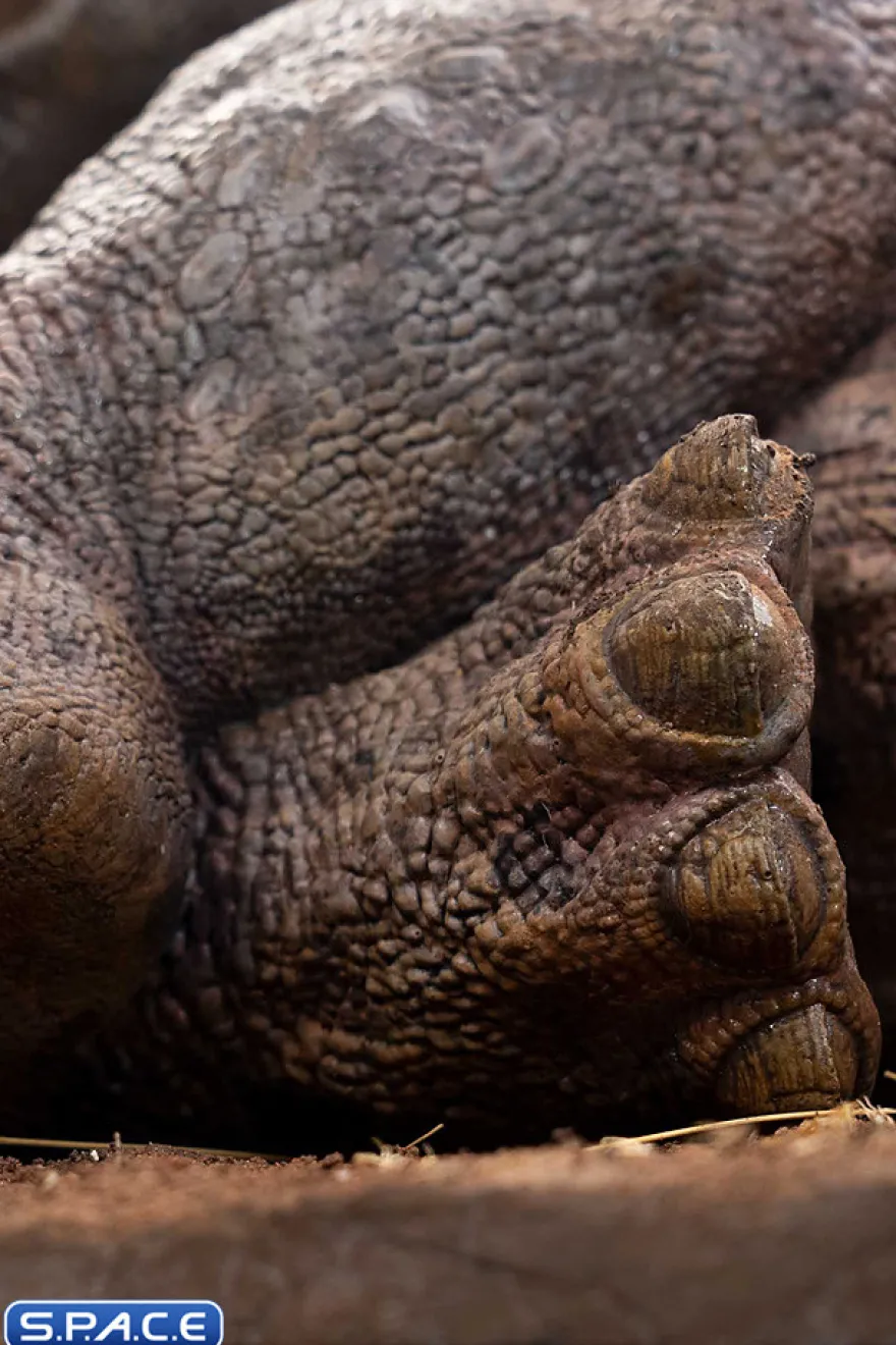 1/8 Scale Sick Triceratops Maquette
