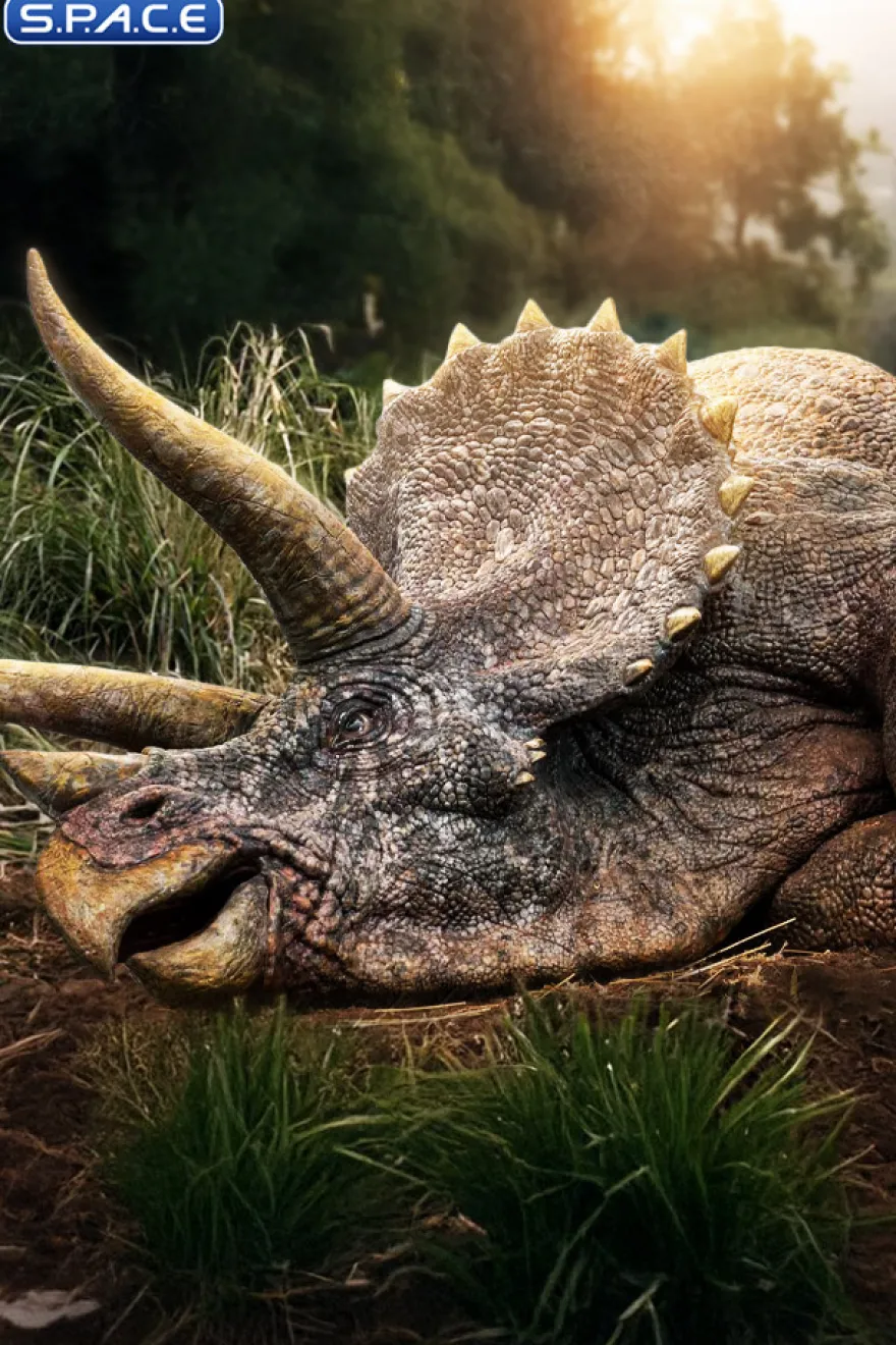 1/8 Scale Sick Triceratops Maquette