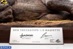 1/8 Scale Sick Triceratops Maquette