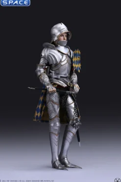 1/6 Scale Silver Armored Guard
