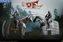 1/6 Scale Silver Armored Guard