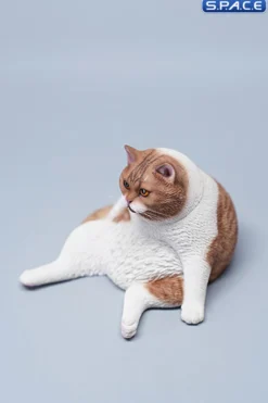 1/6 Scale sitting Cat