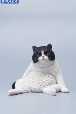 1/6 Scale sitting Cat