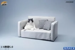 1/6 Scale sitting Cat
