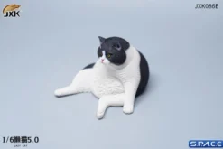1/6 Scale sitting Cat