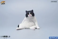1/6 Scale sitting Cat