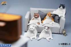 1/6 Scale sitting Cat