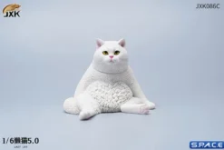 1/6 Scale sitting Cat