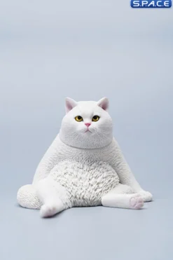 1/6 Scale sitting Cat