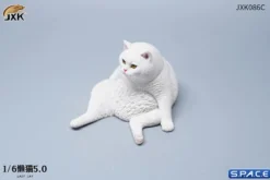 1/6 Scale sitting Cat