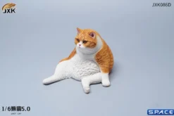 1/6 Scale sitting Cat