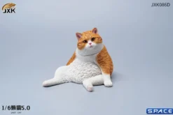 1/6 Scale sitting Cat