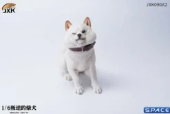 1/6 Scale sitting Shiba Inu »Don't go Home«